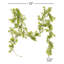 Guirlande 6 'Boxwood