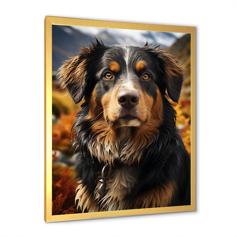Bernese Mountain Majesty III, H 40 po x l 30 po x P 1,5 po, Cadre doré simple
