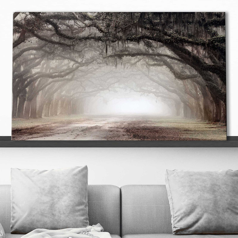 Intemporel Plantation Drive - Peinture, L 40 po x H 24 po, Toile tendue