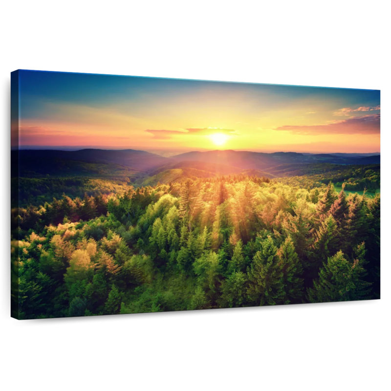Scenic Forest At Sunset