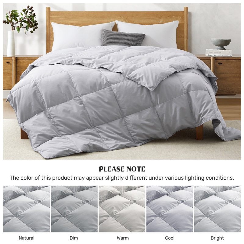 Lightweight Ultra-Soft Natural Feather Down Fiber Comforter/Duvet Insert, Cal King, California King, Light Gray