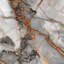 Papier peint marbre gris Veining