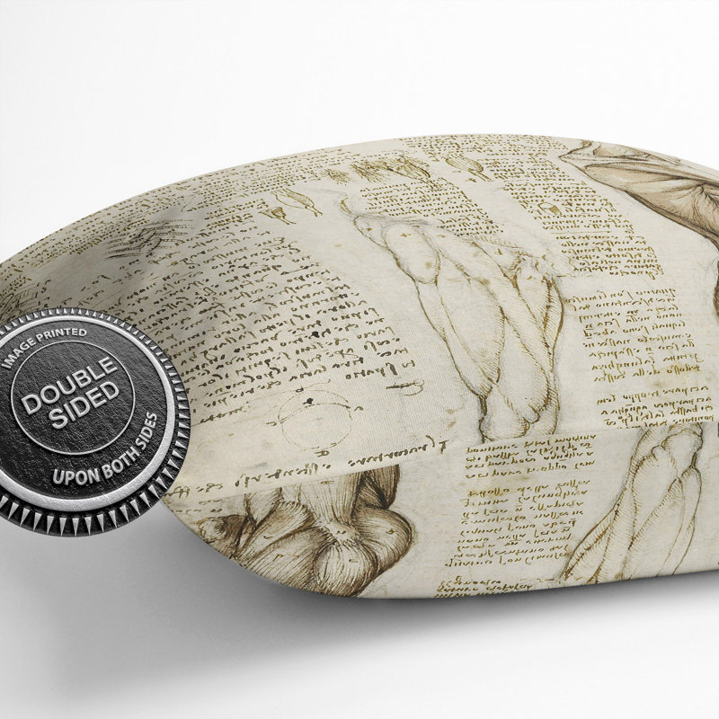 Human Anatomy Vol.6 Square Throw Cushion, Beige, 55cm H x 55cm W x 20cm D