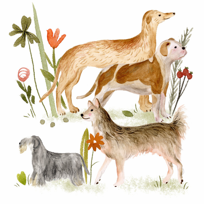 A Little Walk IV by Melissa Wang - Wrapped Canvas Print, 51cm H x 51cm W x 3.8cm D