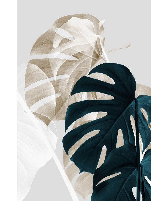 Wrapped Canvas Print, 76.2 cm H x 50.8 cm W