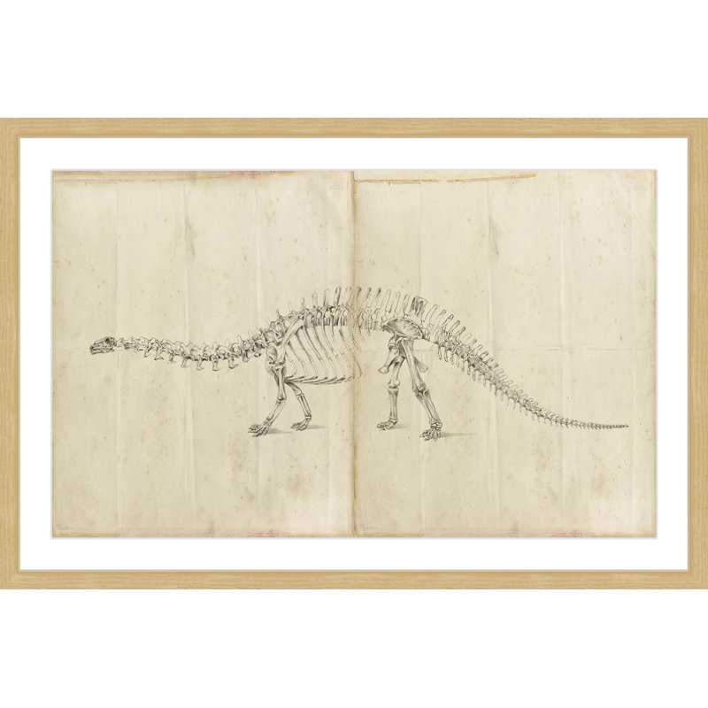«Dinosaur Study I», reproduction encadrée, H 12 po x l 18 po x P 1,5 po