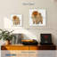 Spitz poméranien miniature Brampt-109121293