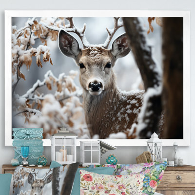 Winter Deer Monochrome Photography I - Deer Wall Art