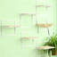 Tablettes murales murales pour chats d'intérieur - Solution peu encombrante