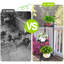 Plant Stand - Set of 3