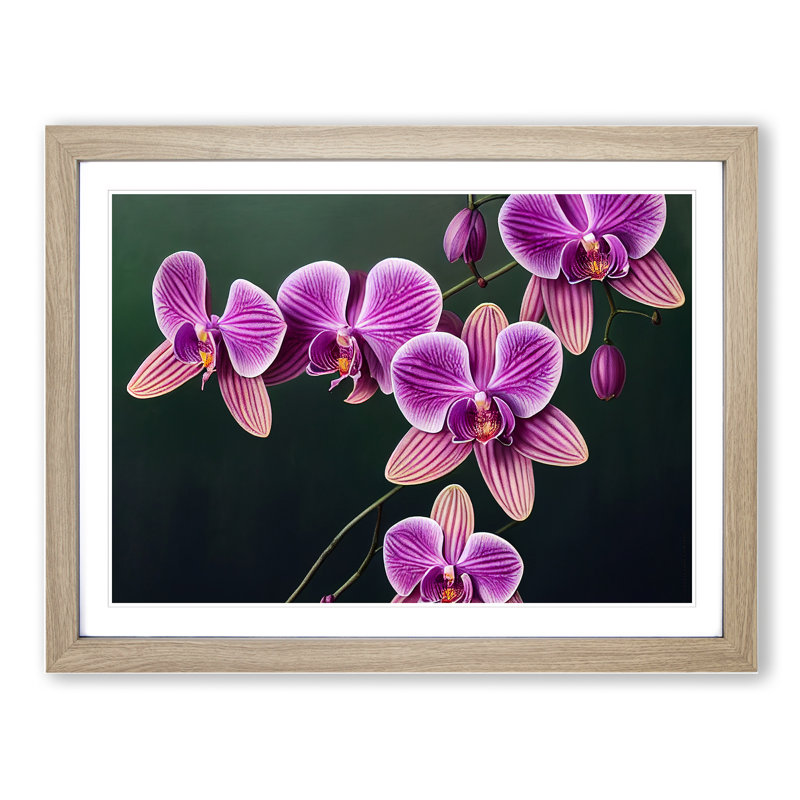 Magnificent Orchid Flowers - Single Picture Frame Print, 25cm H x 34cm W x 2cm D, Oak