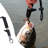 Night Light Control Fish Catcher  Fish Clamp Fish Clamp  Integrated Extended Control Fish Clamp