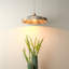 Parasol 1 - Light Pendant-329281827
