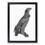 Spotted Eagle Illustration - Framed Print-55729839-55729840