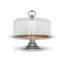 Cake Dome