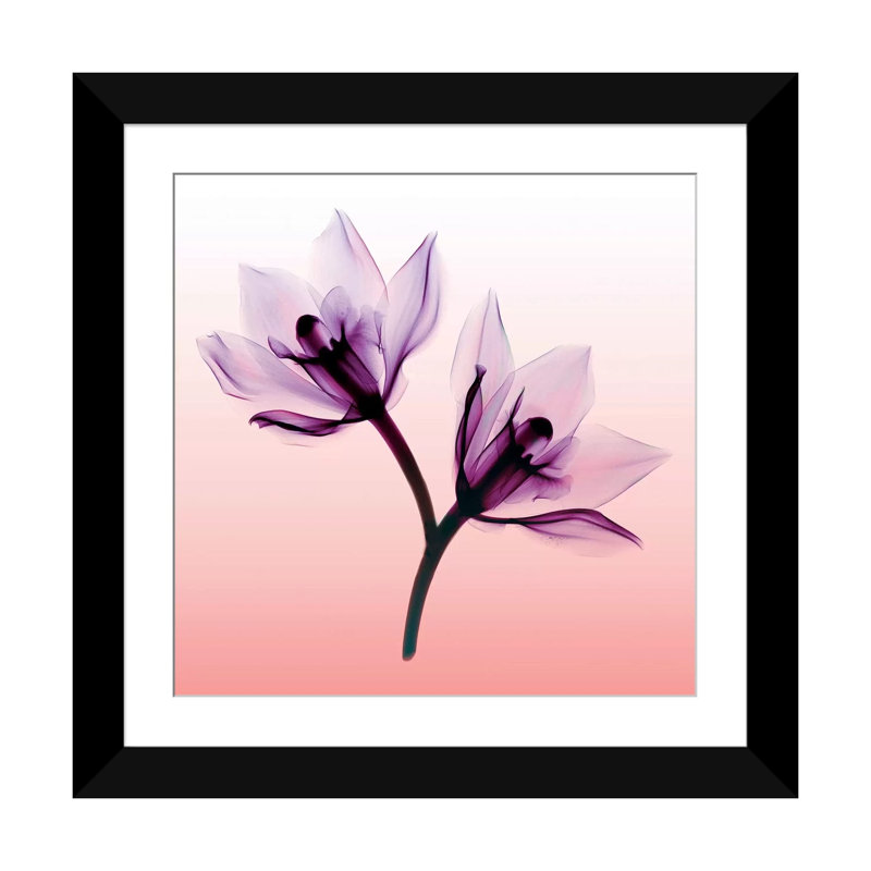 «Orchids II», impression sur toile, H 16 po x l 16 po x P 1 po, Papier avec cadre noir, Blanc