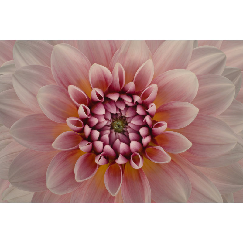 Wrapped Canvas Print, 50.8 cm H x 76.2 cm W