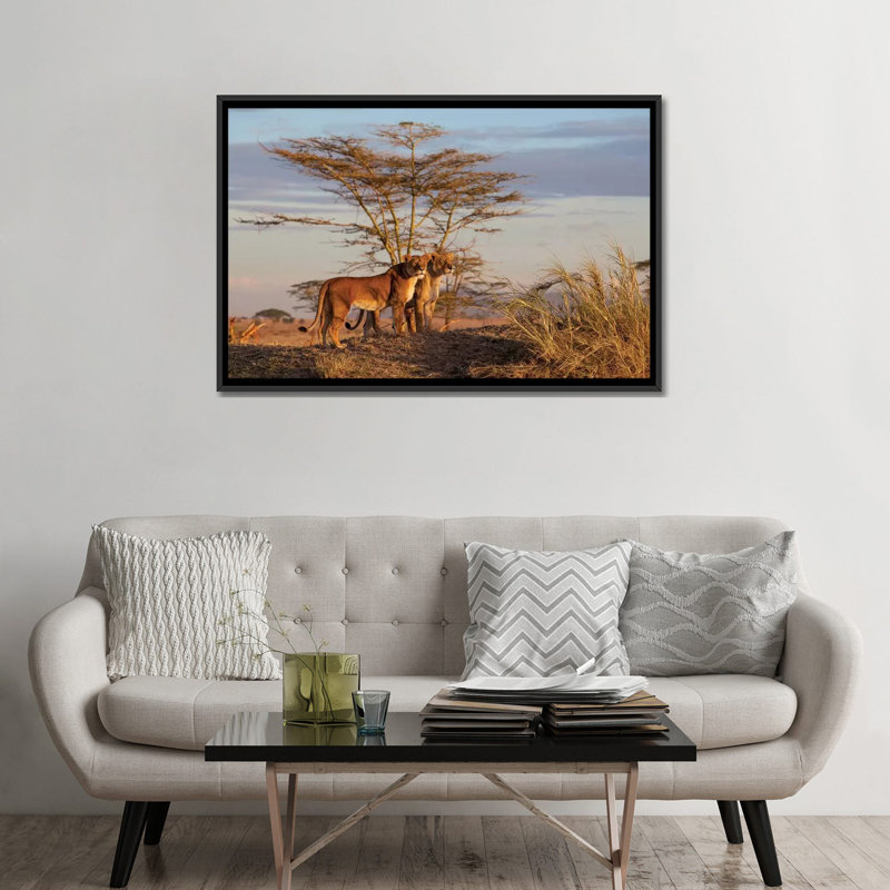 « soeurs », impression sur toile, H 18 po x l 26 po x P 1,5 po, Toile avec cadre noir, Pas de tapis