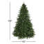 Arbre de Noël pin de l'Oregon-274877115