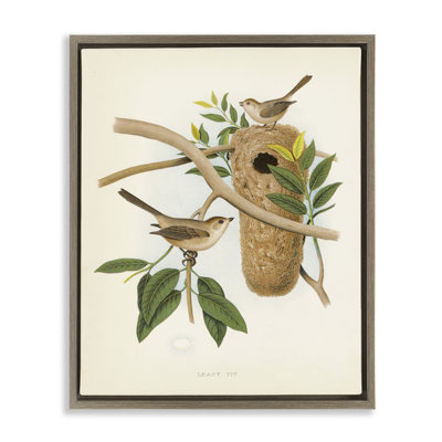  Vintage Bird House Study Canvas Wall Art by Tina Higgins Designs, Inc.