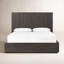 Lit Tomey Leo-566708475-566708997