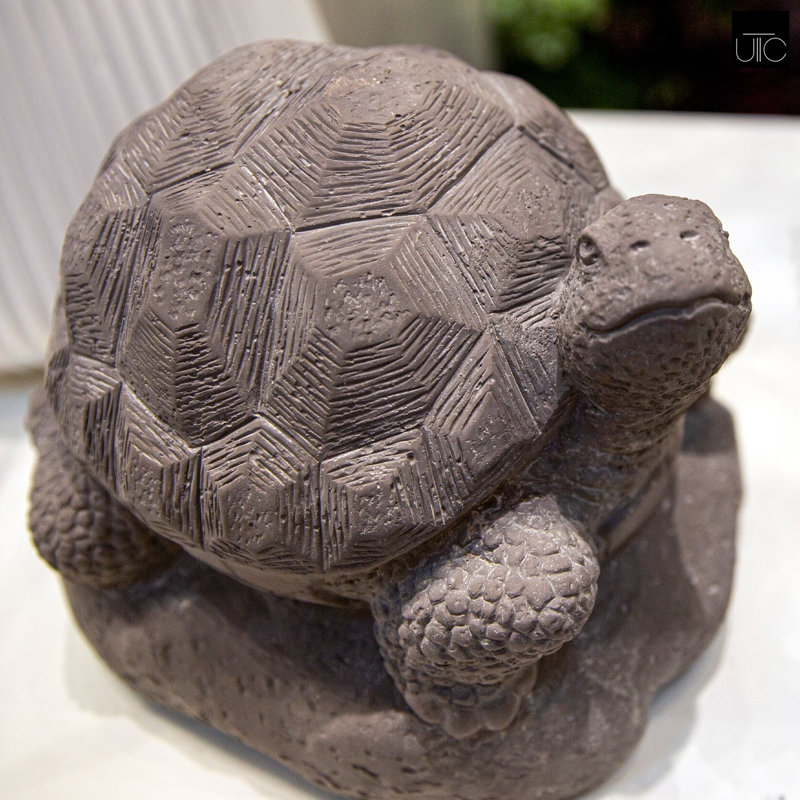 Tortue creuse terre cuite Simonetti, H 7 po x l 7 po x P 8 po