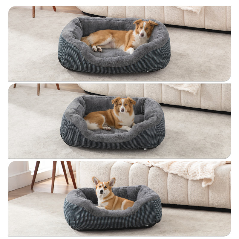 Petit lit pour chien pour petits chiens, lit pour chat pour chat d'intérieur, lavable, réconfortant, apaisant, lit de chiot pour lit de repos durable avec fond antidérapant (20 po x 19 po x 6 po)