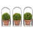 Faux Boxwood, 3 Matching Realistic 9.5" Tall Topiary Arrangements in Decorative Metal Baskets for Indoor Home or Office
