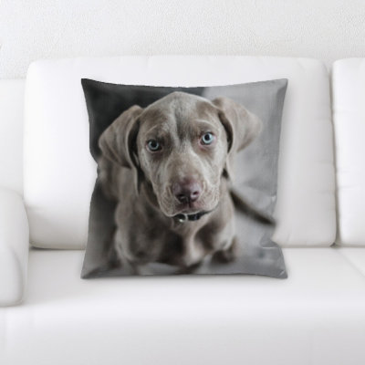 Aiden Dog Portrait Throw Pillow