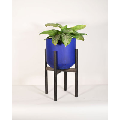 Upshining Live Foliage Plant in Wood Pot