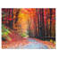 « Road In Beautiful Autumn Forest » - reproduction de photo-1510207585-1509658474-1561591361