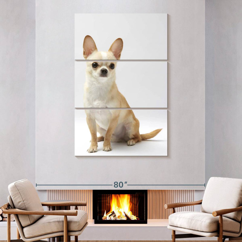 Seated Chihuahua