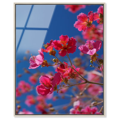 Décoration murale côtière Ruby Sun Kiss I par Notoriart, prête à être suspendue, H 20 po x l 16 po