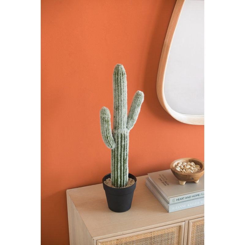 Cactus artificiel en pot Mari, H 24,5 po x l 8 po x P 5 po