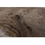 Tapis taupe à transition de couleur 9 pi 6 po x 12 pi 4 po