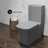 Concorde One Piece Square Toilet Dual Flush in Matte Gray 1.1/1.6 gpf-1988336514-1982268218