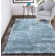 Planas Indoor Rug