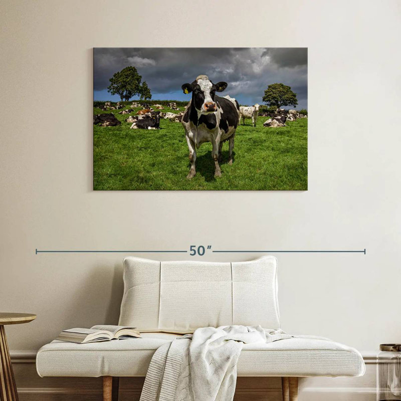 Brampt Holstein Cow, 26" H x 39" W