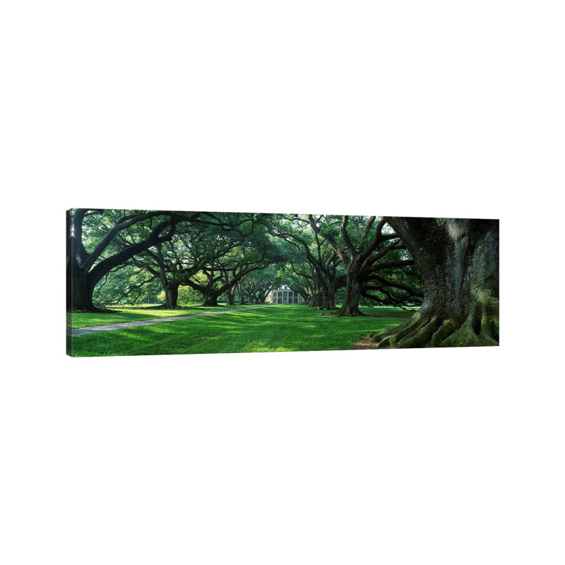 USA, Louisiana, New Orleans, Oak Alley Plantation, Plantation Home Through Alley of Oak Trees 1 Piece Wrapped Canvas Panoramic Wall Art