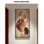 Nouvelle peinture murale en porcelaine de cristal de style chinois-766348314