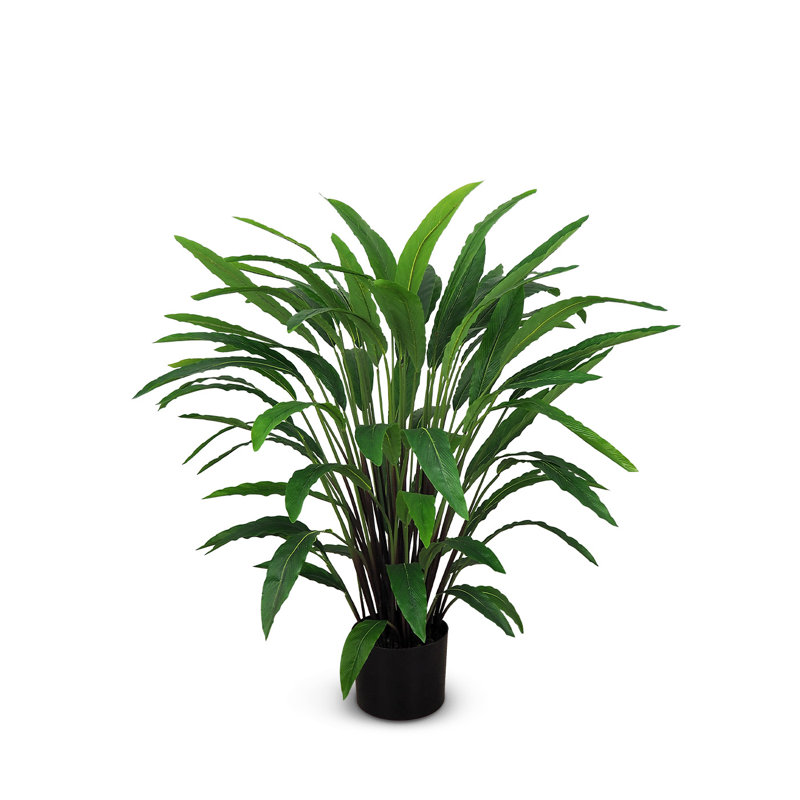 Faux calathea botanique au fini vert, H 39 po x l 28 po x P 28 po
