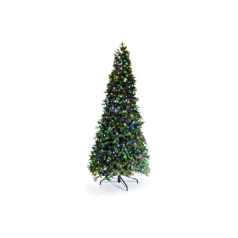 Lighted Christmas Tree