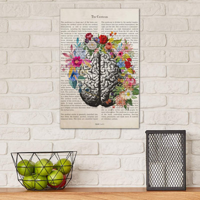 The Cerebrum - Wrapped Canvas Print