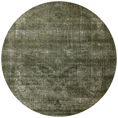 Jamil Oriental Indoor Rug