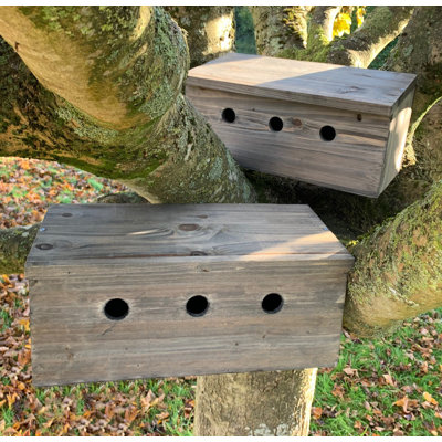 Sparrow Colony Terrace Wooden Mounted Bird House