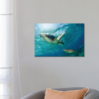 Contact by Andrey Narchuk - Wrapped Canvas Print