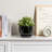Round Ceramic Flower Pot Planter-229609114