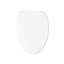 Papyrus Quiet-Close Elongated Toilet Seat