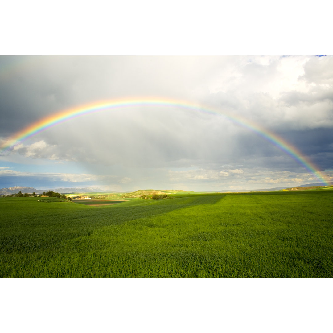 Ein Regenbogen über einem grünen Feld von Hepatus - Drucken