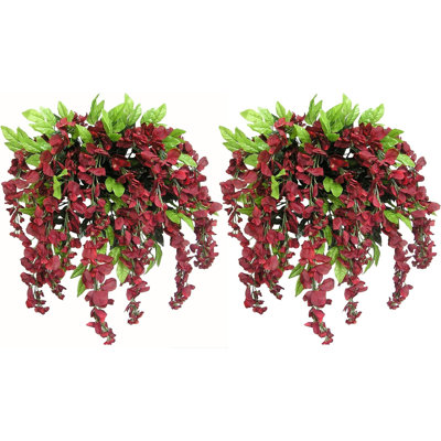 Fleurs et tiges de glycine